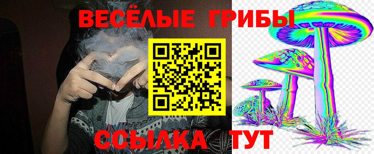 Муром  Галлюциногенные грибы прущие грибы  Вход с VPN  Галлюциногенные грибы прущие грибы 